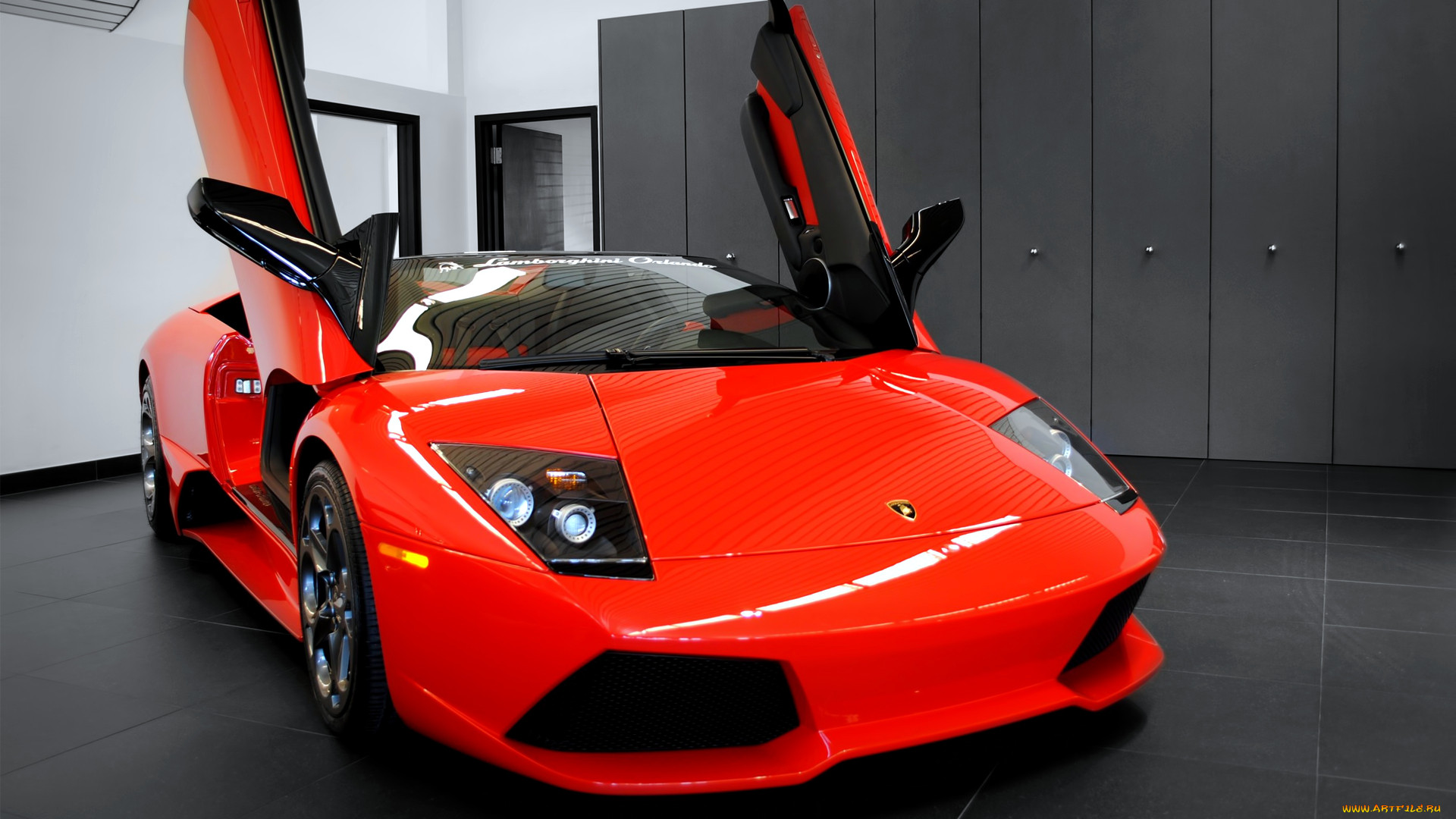 lamborghini, murcielago, , automobili, s, p, a, , 